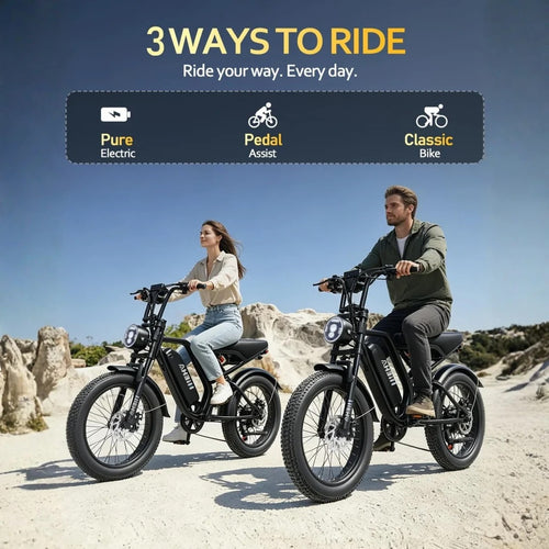 HIEHA SU8 2.0 Fat Tire Electric Bike, 750W Full Suspension E-Bike for Adults